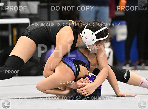 DLS_1492-2