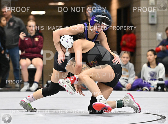 DLS_1514-2