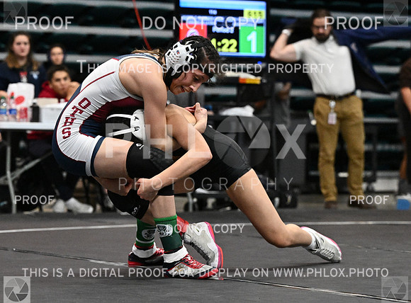 DLS_1893-2