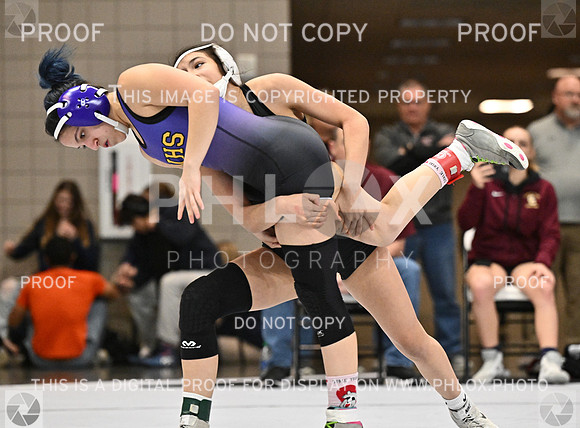 DLS_1447-2