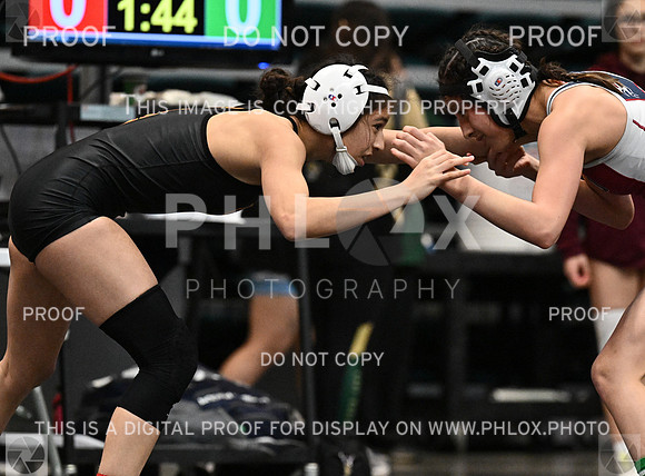 DLS_1869-2