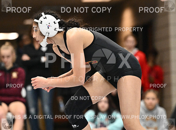 DLS_1481-2