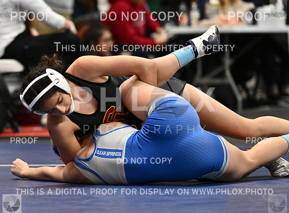 DLS_2908-2