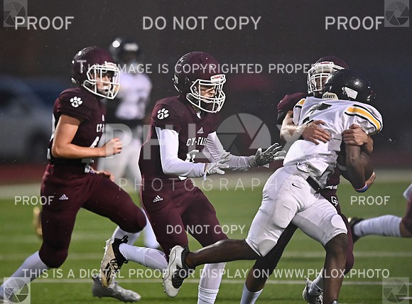DLS_4976