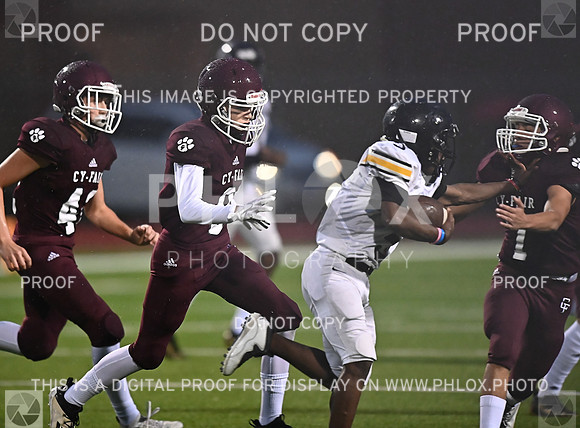 DLS_4975