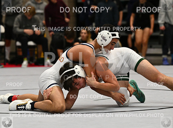 DLS_4394