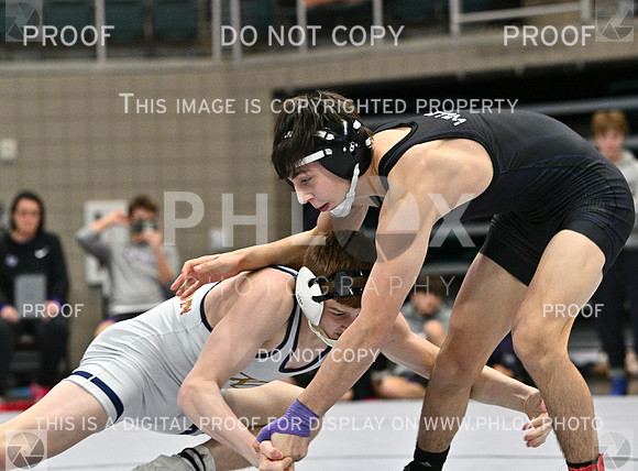 DLS_4436