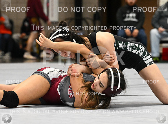 DLS_4159