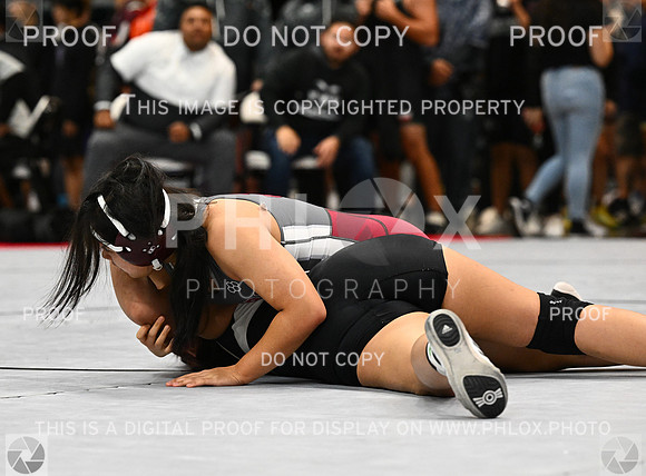 DLS_4296