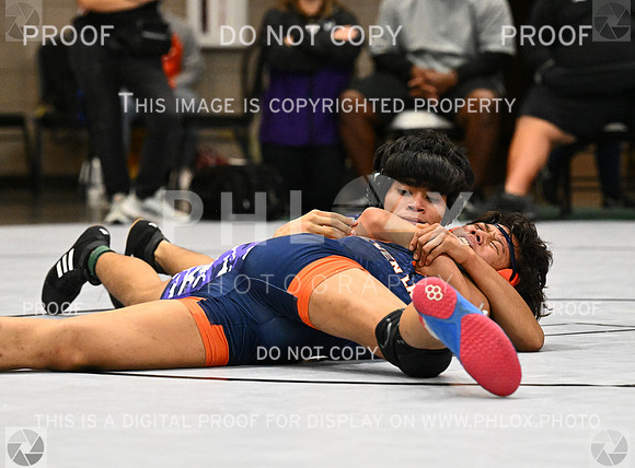DLS_3673