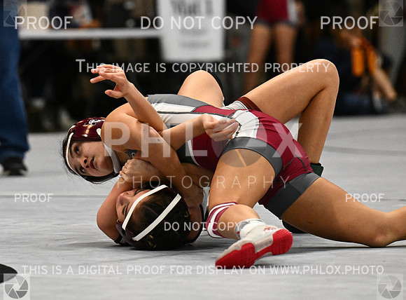 DLS_3754