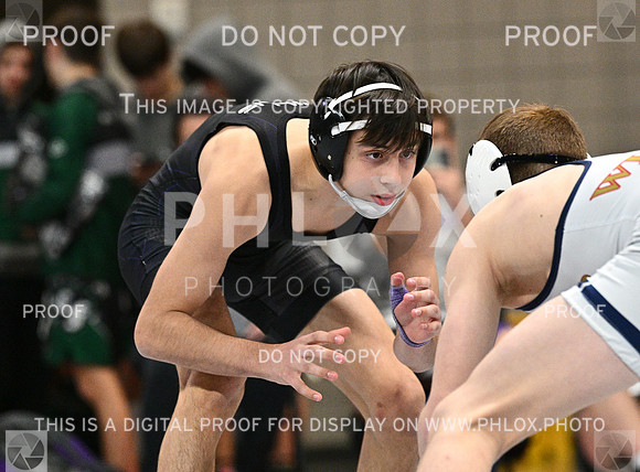 DLS_4419