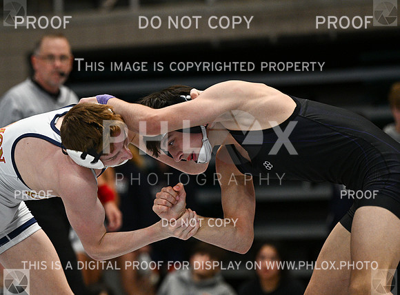 DLS_4462