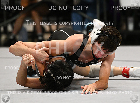 DLS_4342