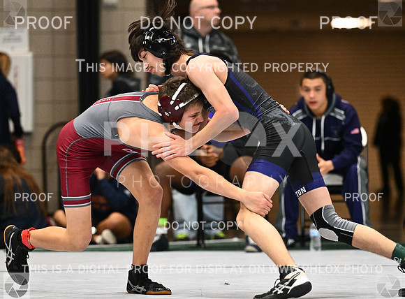 DLS_4301