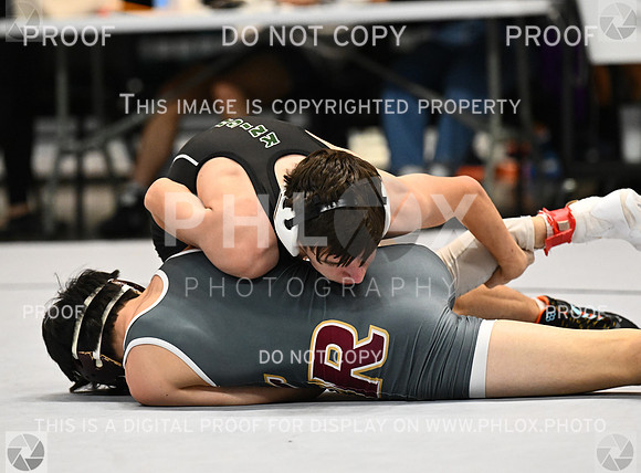 DLS_4340