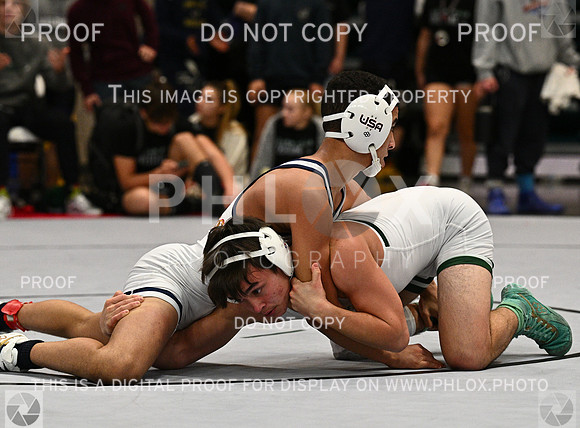 DLS_4392