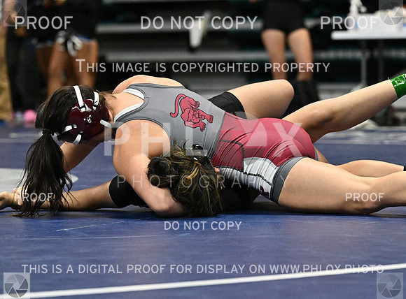 DLS_1665-2