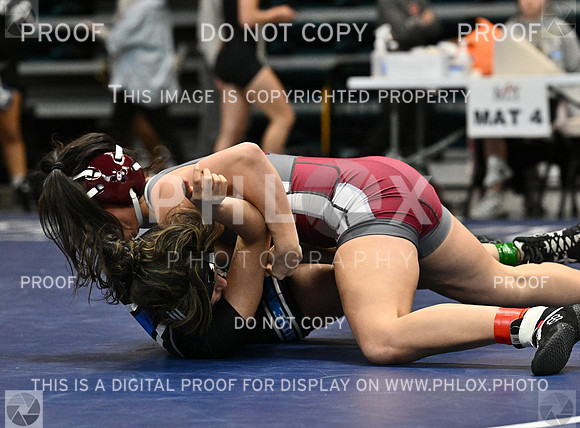 DLS_1663-2