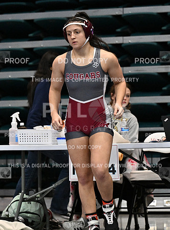 DLS_1644-2