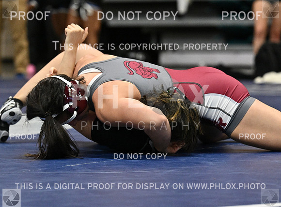 DLS_1667-2