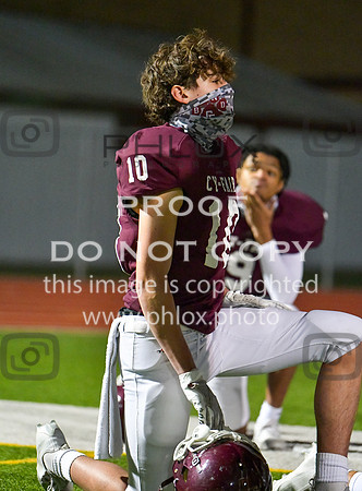 DLS_8047