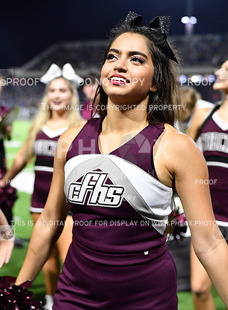 FDS_8639