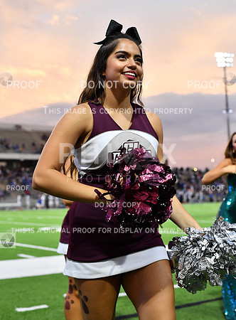 FDS_7153