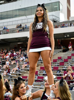FDS_6931