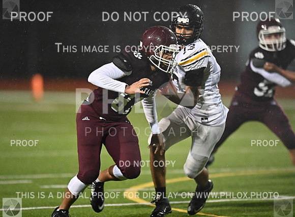 DLS_5316