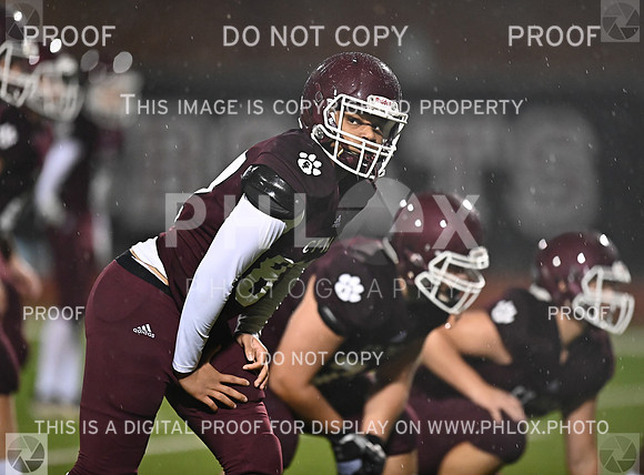 DLS_5299