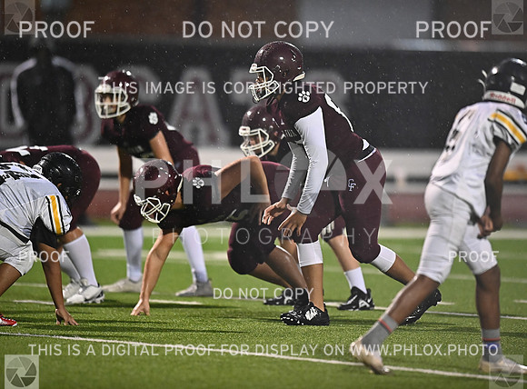 DLS_5039
