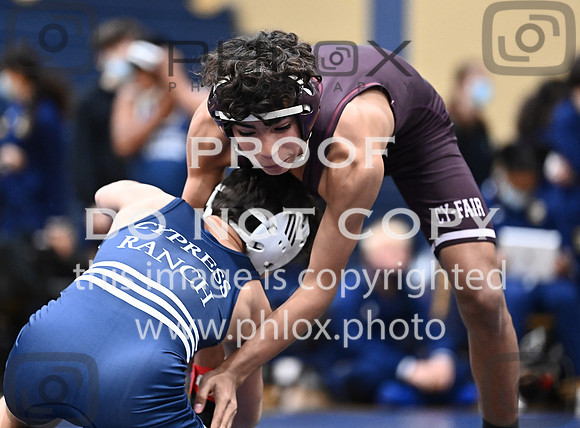 DLS_8021