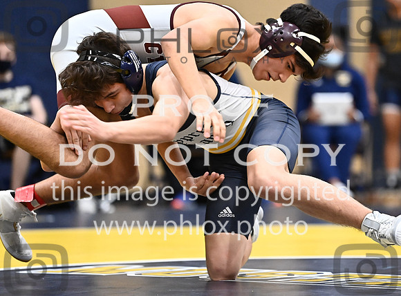 DLS_7896