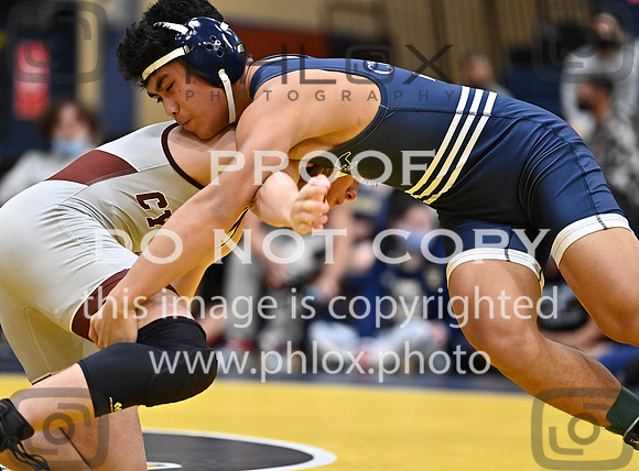DLS_7938