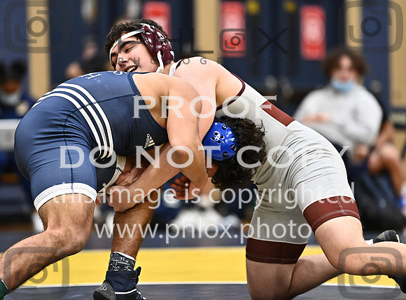DLS_7952