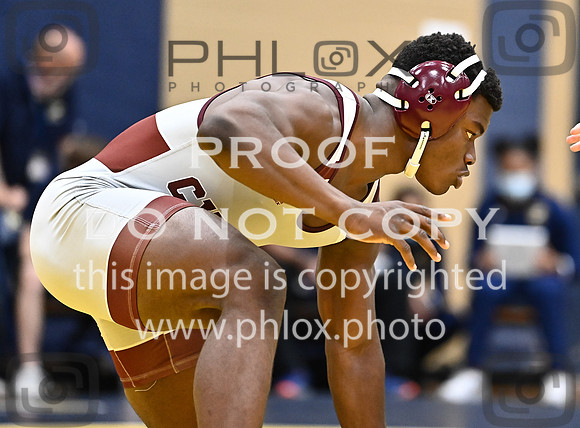 DLS_7980