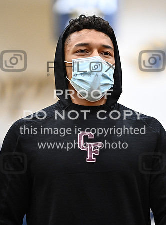 DLS_7878