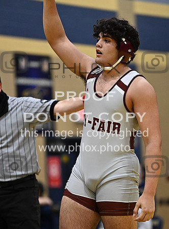 DLS_8013