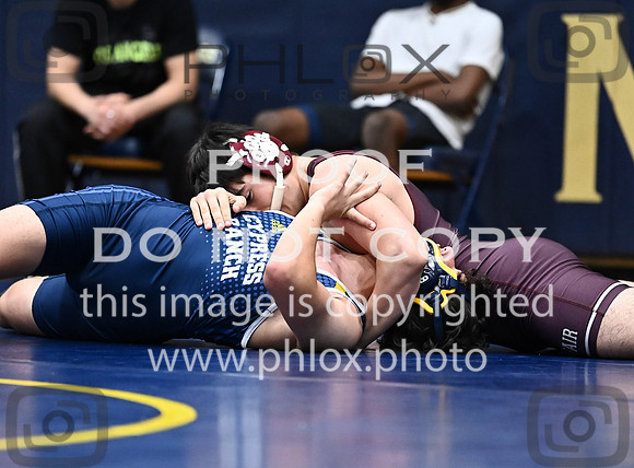 DLS_8030