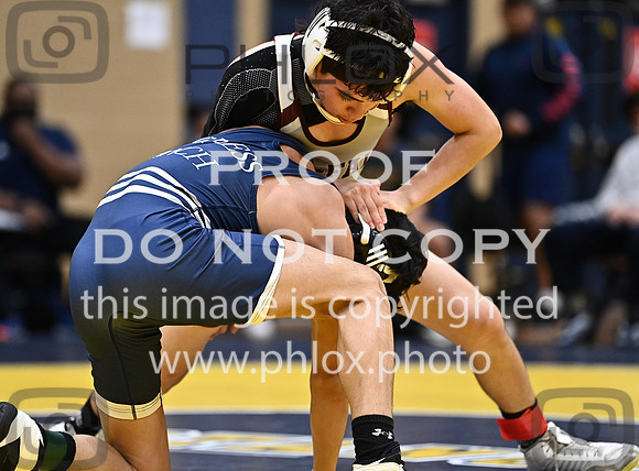 DLS_7808
