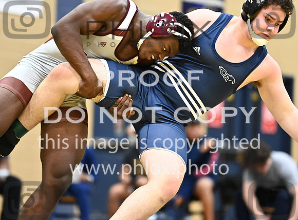 DLS_7986