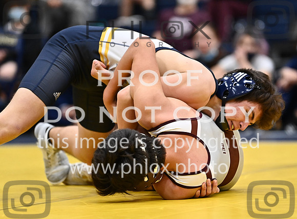 DLS_7918