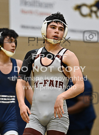 DLS_7841