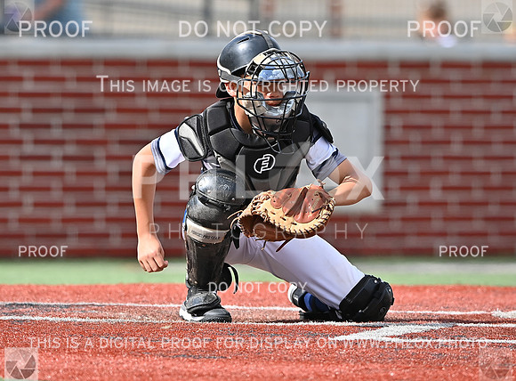 DLS_0919