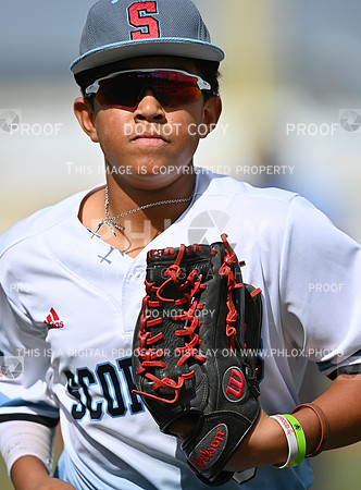 DLS_0905