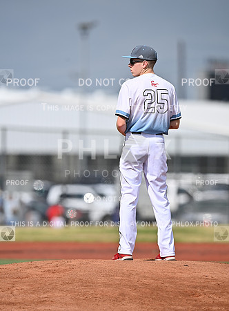 DLS_0896