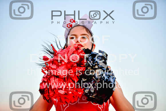 FDS_7556