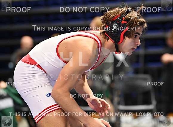 DLS_9001