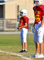 CAR_0514